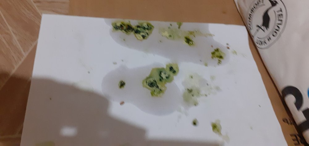 20211208_072527.jpg