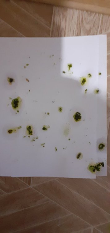 20211209_073935.jpg