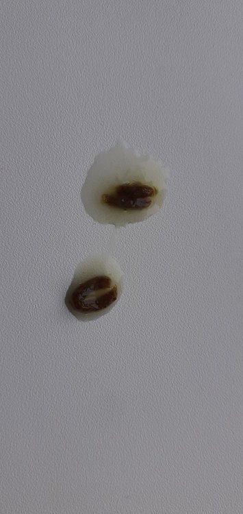 20211227_095643.jpg
