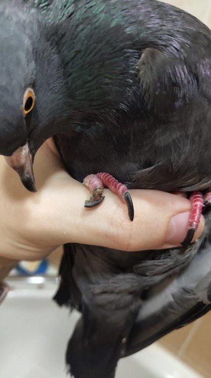 WhatsApp Image 2021-12-29 at 14.55.36 (1).jpeg