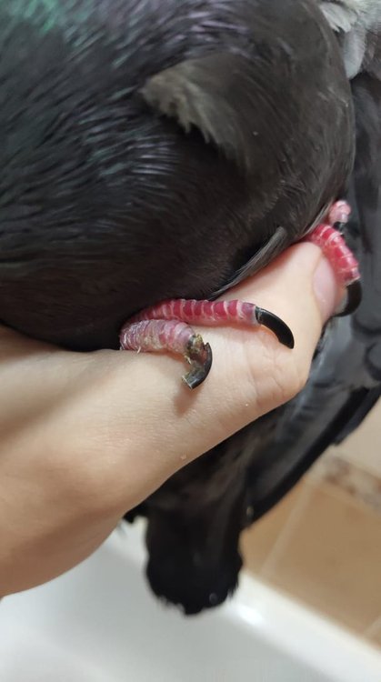 WhatsApp Image 2021-12-29 at 14.55.36.jpeg