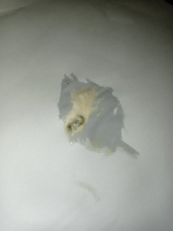 IMG_20211216_201042.jpg