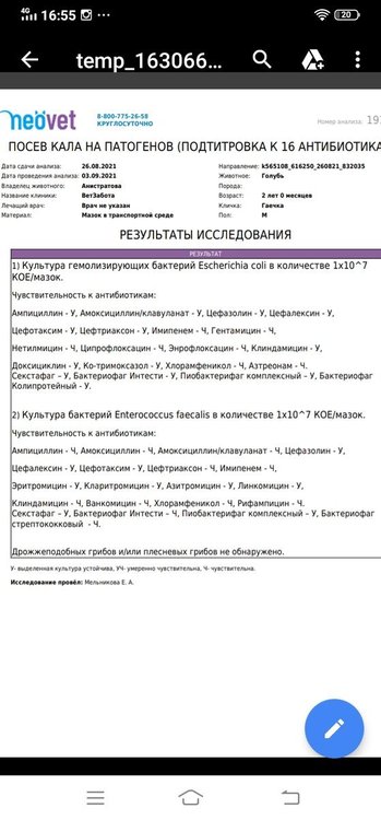 Screenshot_20210904_165506.jpg.450bc79807f0ded3775aad164080a242.jpg