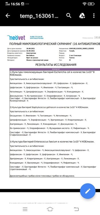 Screenshot_20210904_165633.jpg.0ba0c84c70b8b111fd7d36bfb9db7622.jpg