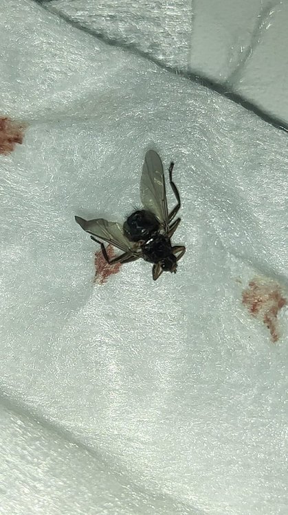 WhatsApp Image 2022-01-29 at 14.47.58.jpeg