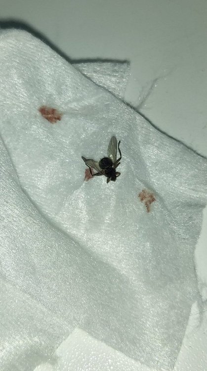 WhatsApp Image 2022-01-29 at 14.47.58 (1).jpeg