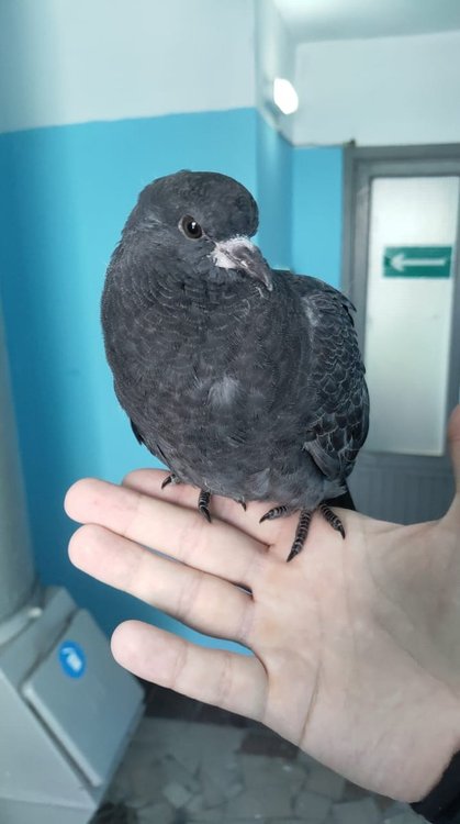 WhatsApp Image 2021-12-23 at 13.15.53.jpeg