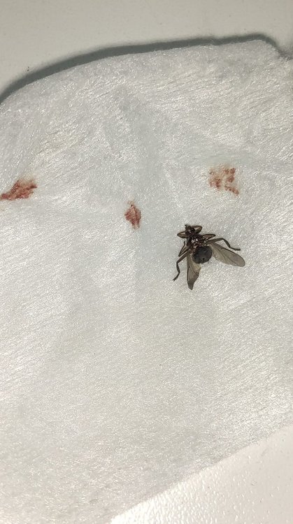 WhatsApp Image 2022-01-29 at 15.04.17.jpeg