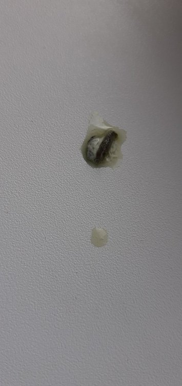 20220103_091635.jpg