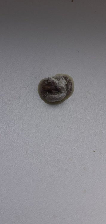20220105_100604.jpg