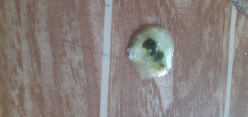 20220115_102232.jpg