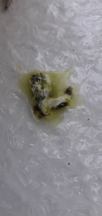 20220117_092007.jpg