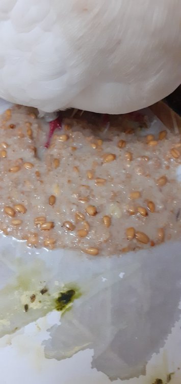 20220120_080038.jpg