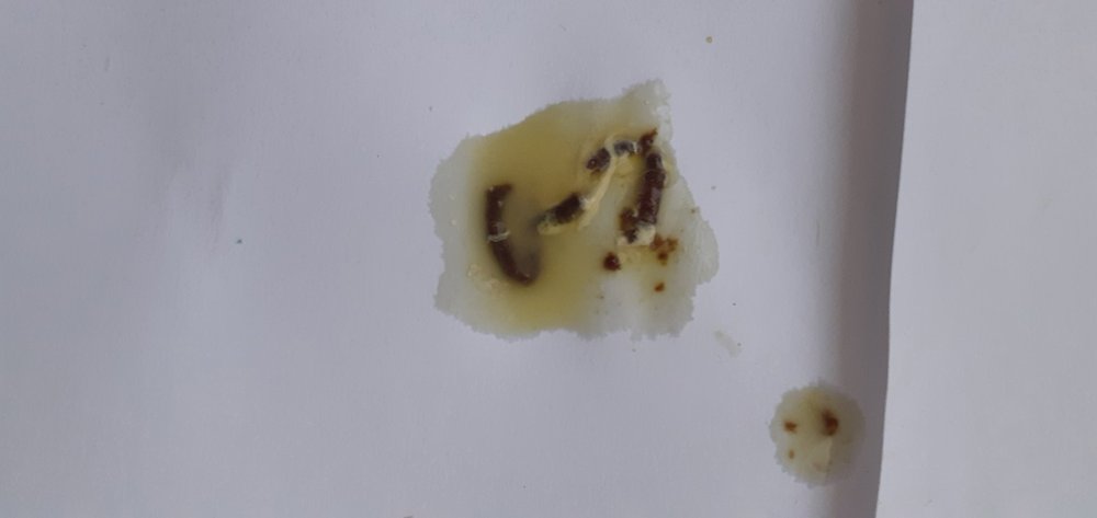 20220120_080456.jpg
