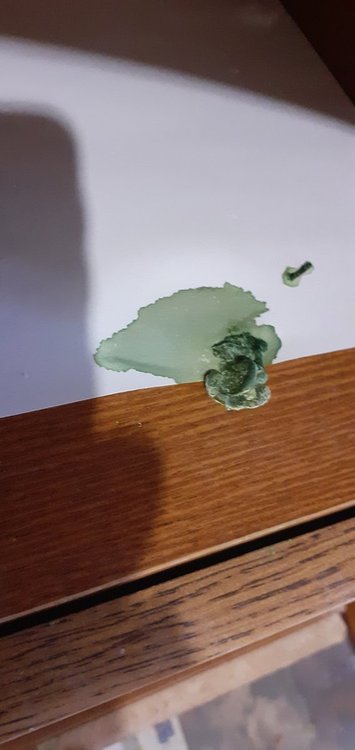 20220120_082359.jpg