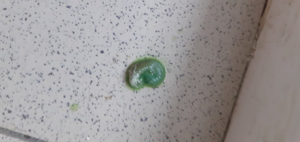 20220120_082411.jpg