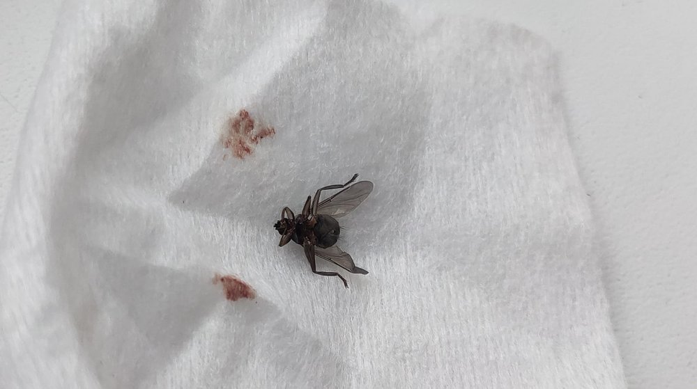 WhatsApp Image 2022-01-29 at 15.04.17 (1).jpeg