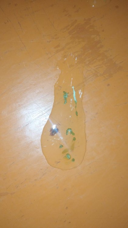 FJIMG_20220112_133745.jpg