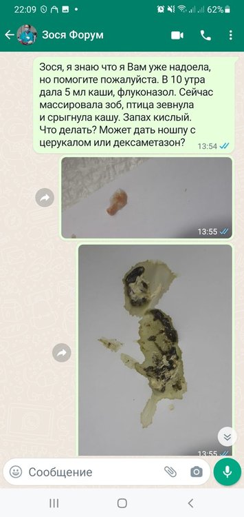 Screenshot_20220119-221000_WhatsApp.jpg