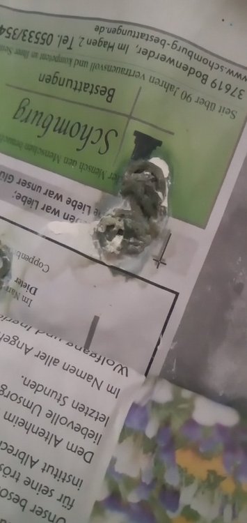 16448248596985718732442821193459.jpg