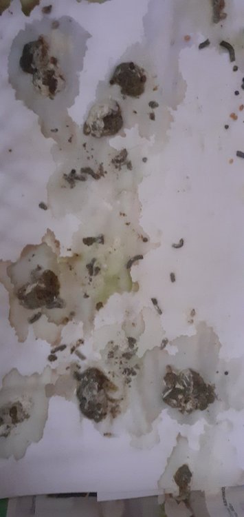 20220206_091400.jpg