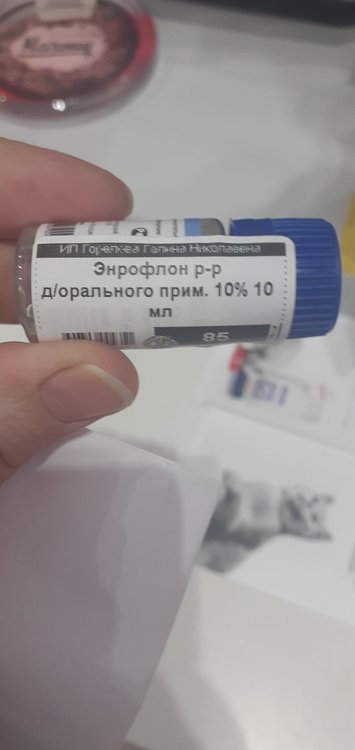20220206_111004.jpg