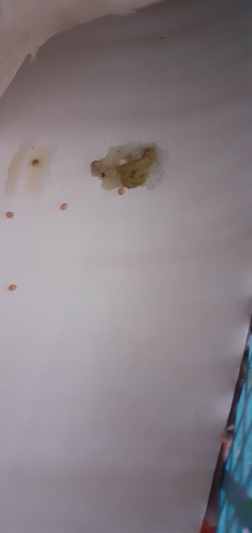 20220207_094455.jpg
