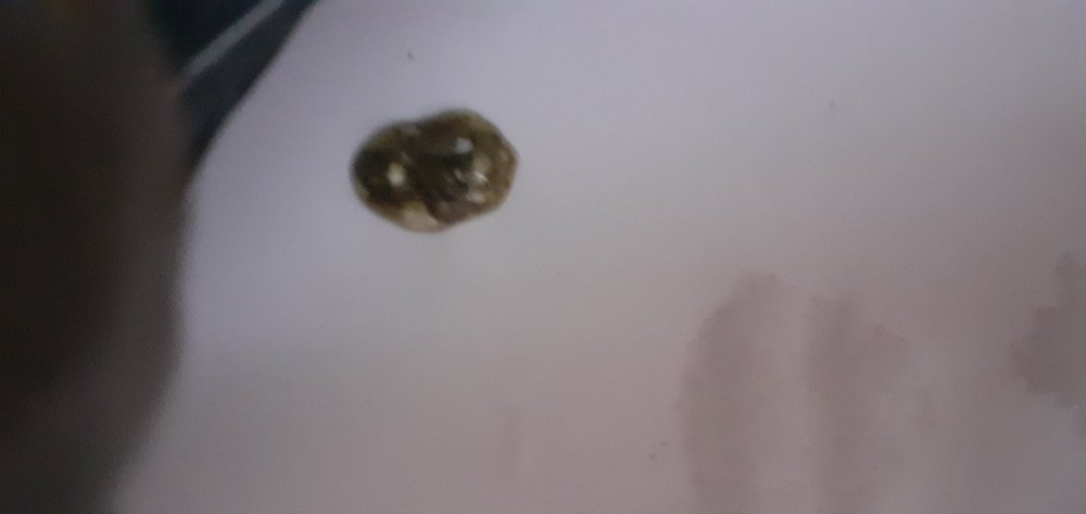 20220207_095505.jpg