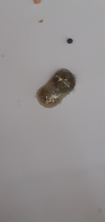 20220207_100729.jpg