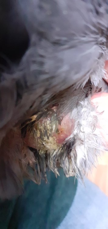 20220207_130132.jpg