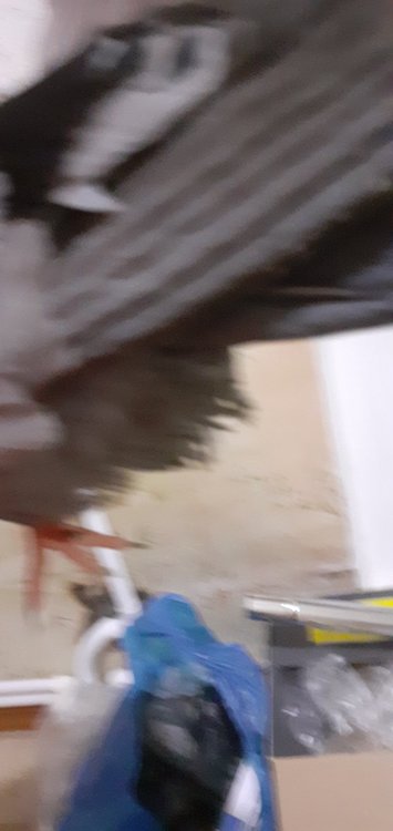 20220207_184354.jpg