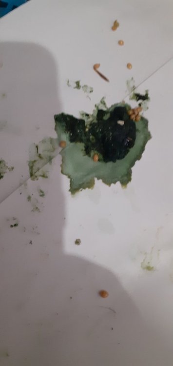 20220210_090630.jpg