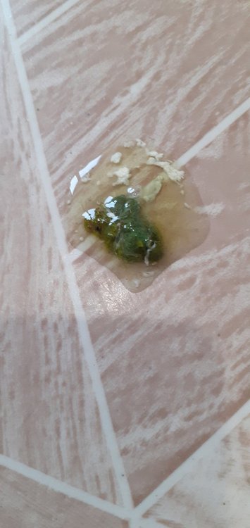 20220210_093551.jpg