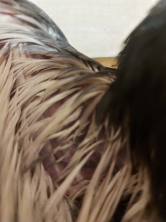 20220213_144744.jpg