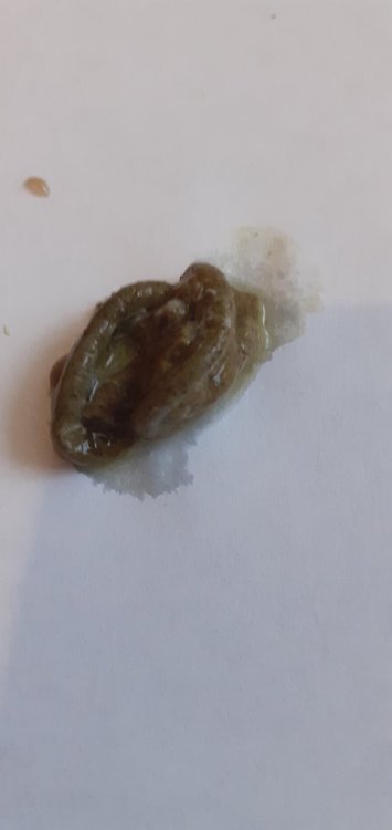 20220217_073709.jpg
