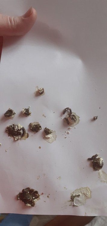 20220220_093254.jpg