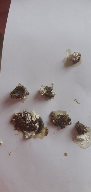 20220220_093259.jpg