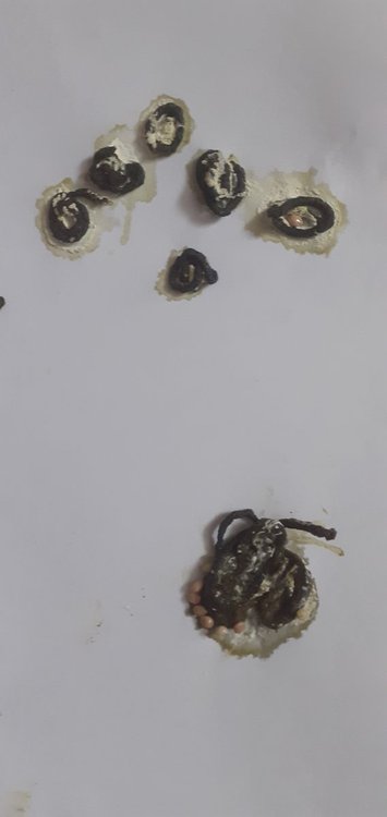 20220220_100038.jpg