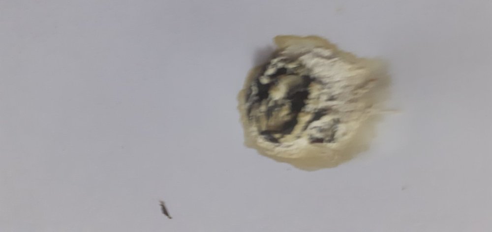 20220220_100057.jpg
