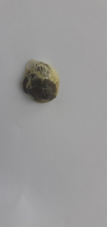 20220220_103423.jpg