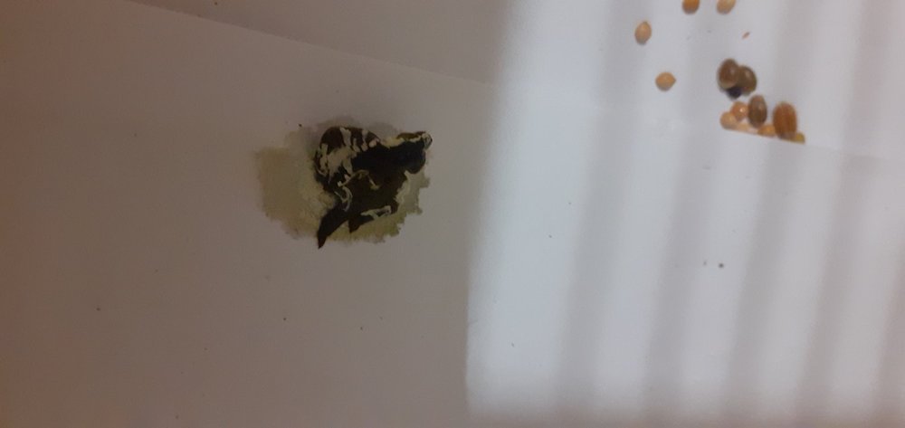 20220220_181440.jpg