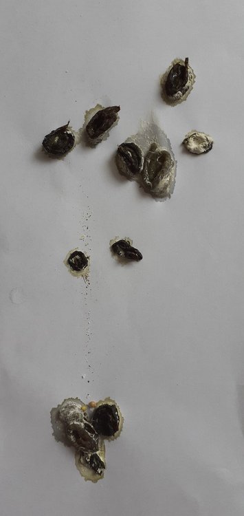 20220221_101046.jpg