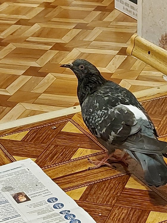 20220221_214201.jpg