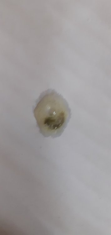 20220223_093457.jpg