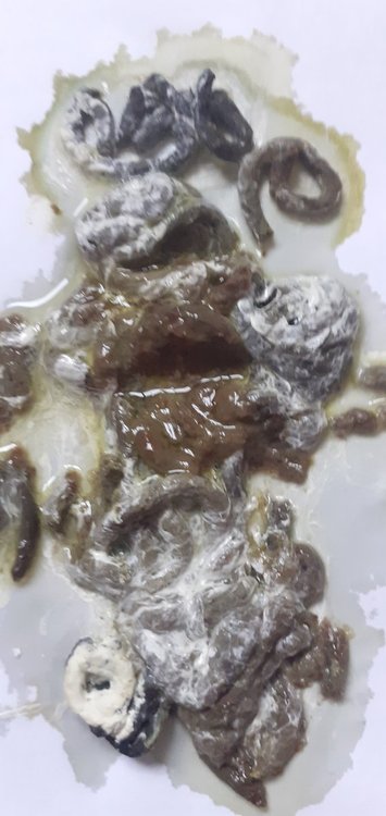 20220225_091706.jpg