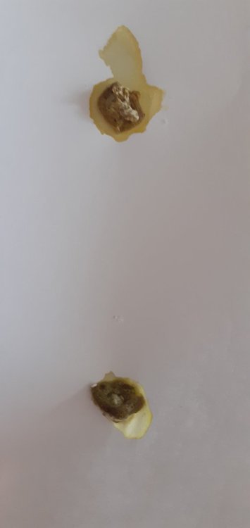 20220228_100451.jpg