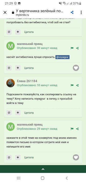 Screenshot_20220213-212925_Chrome.jpg