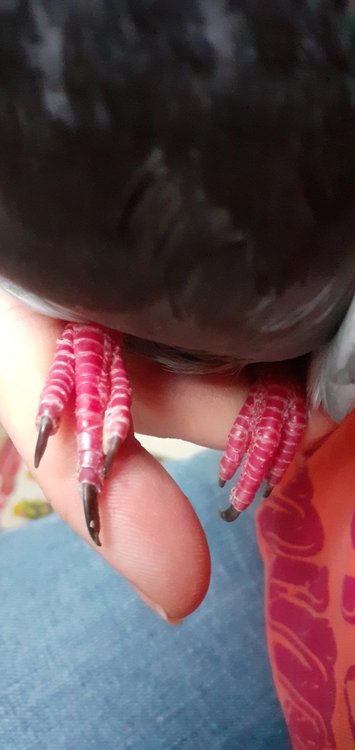 20220302_084210.jpg