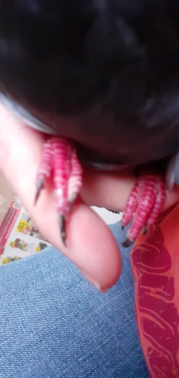 20220302_084214.jpg