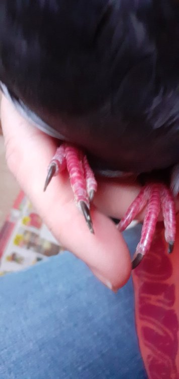 20220302_084218.jpg